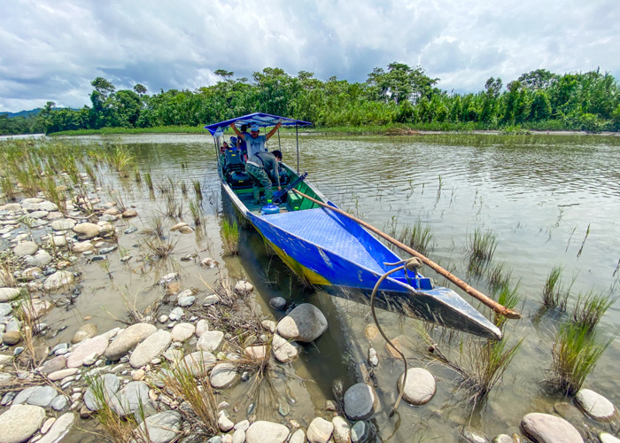 Amazonia